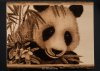 pyrography_portrait_of_a_panda_bear_by_brandojones-d9cjzk4.jpg